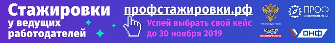 Проф Стажировка 1